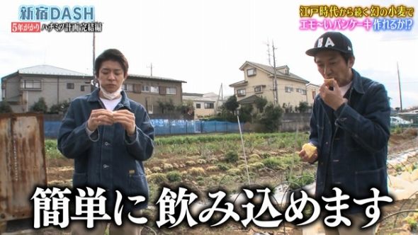 鉄腕DASH 29