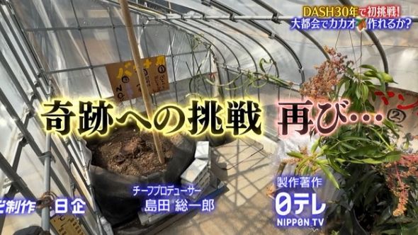 鉄腕DASH 129
