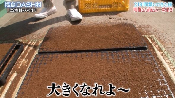 鉄腕DASH 41