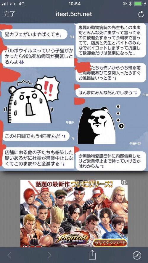 猫カフェ Mocha モカ を全店営業停止に追い込んだ告発ツイート くまニュース 猫カフェ Mocha モカ を全店営業停止に追い込んだ告発ツイート くまニュース