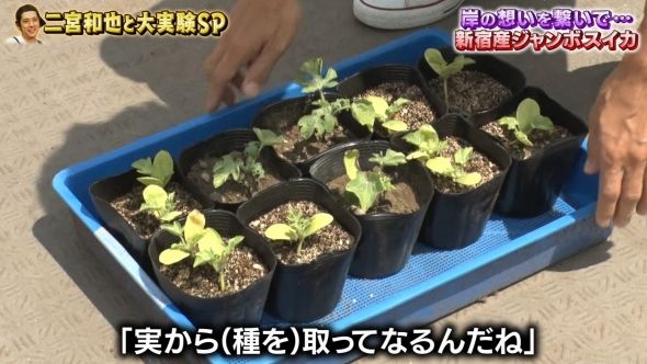 鉄腕DASH 47