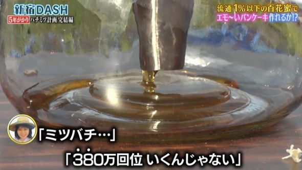 鉄腕DASH 87