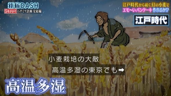 鉄腕DASH 22