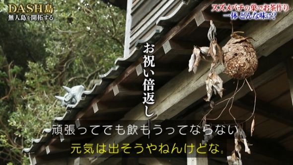 鉄腕DASH 43