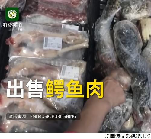 【中国】スーパーに野生のワニ出没！ → すぐに捉えられ解体、肉として売られる