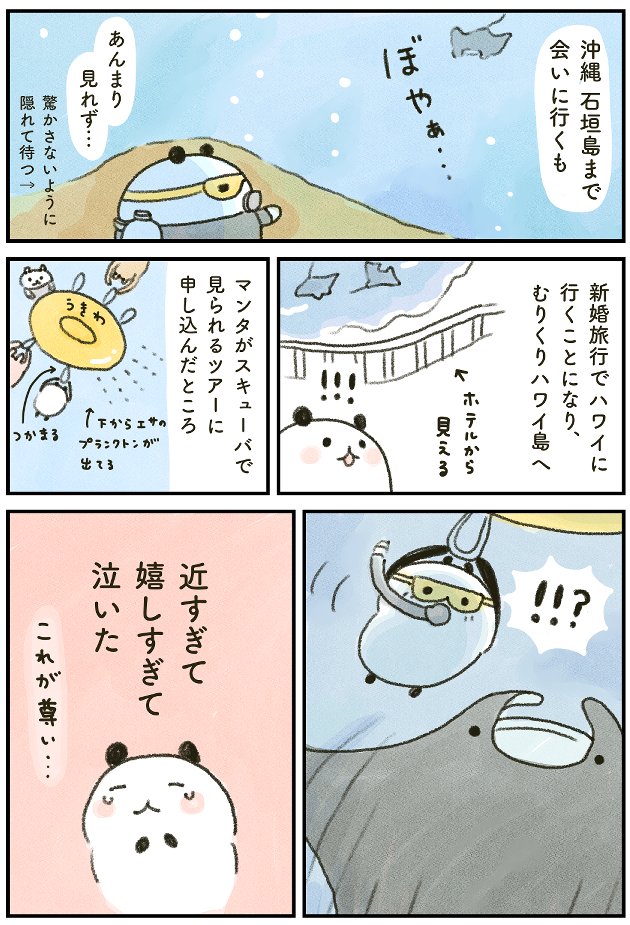 7EAB3114-76CD-4364-A668-8388FE8AF39C