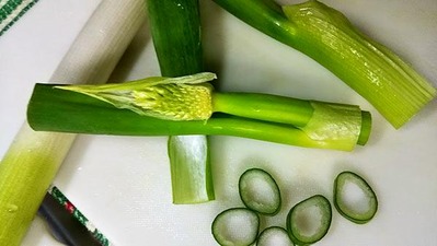 ねぎぼうず1