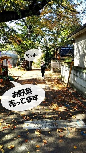 自然の道