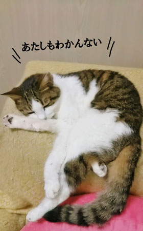 退院日3