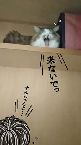 退院日2
