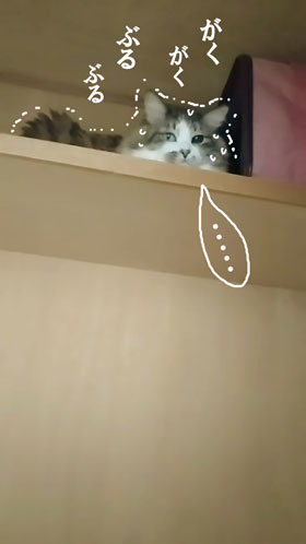 退院日1