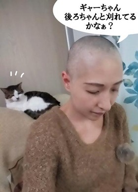 ギャーちゃん~