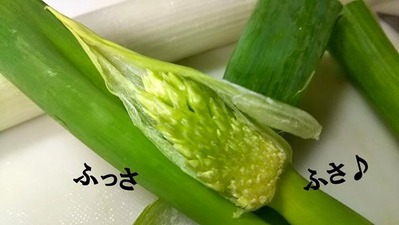 ねぎぼうず3