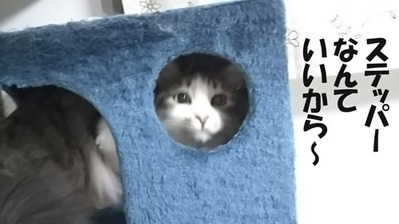 ステッパーなんていいから~