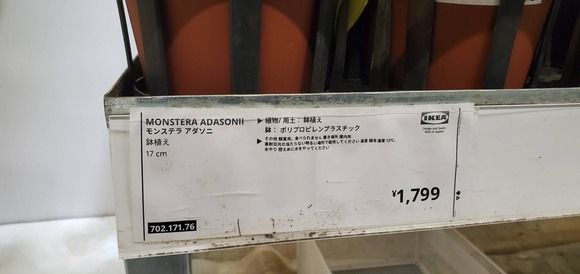 219245