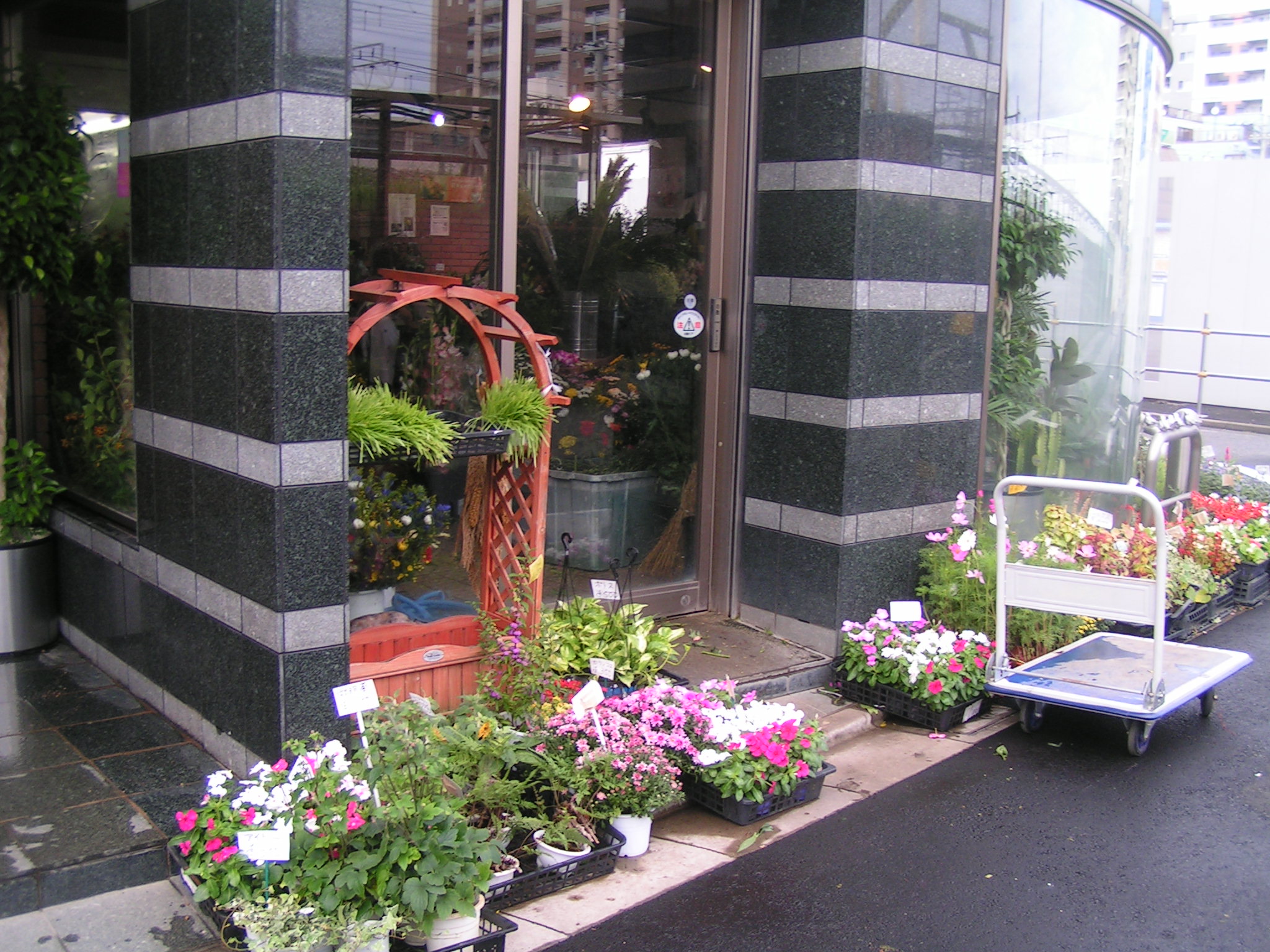 お花屋 須藤花店 葛飾区 新小岩下町物語