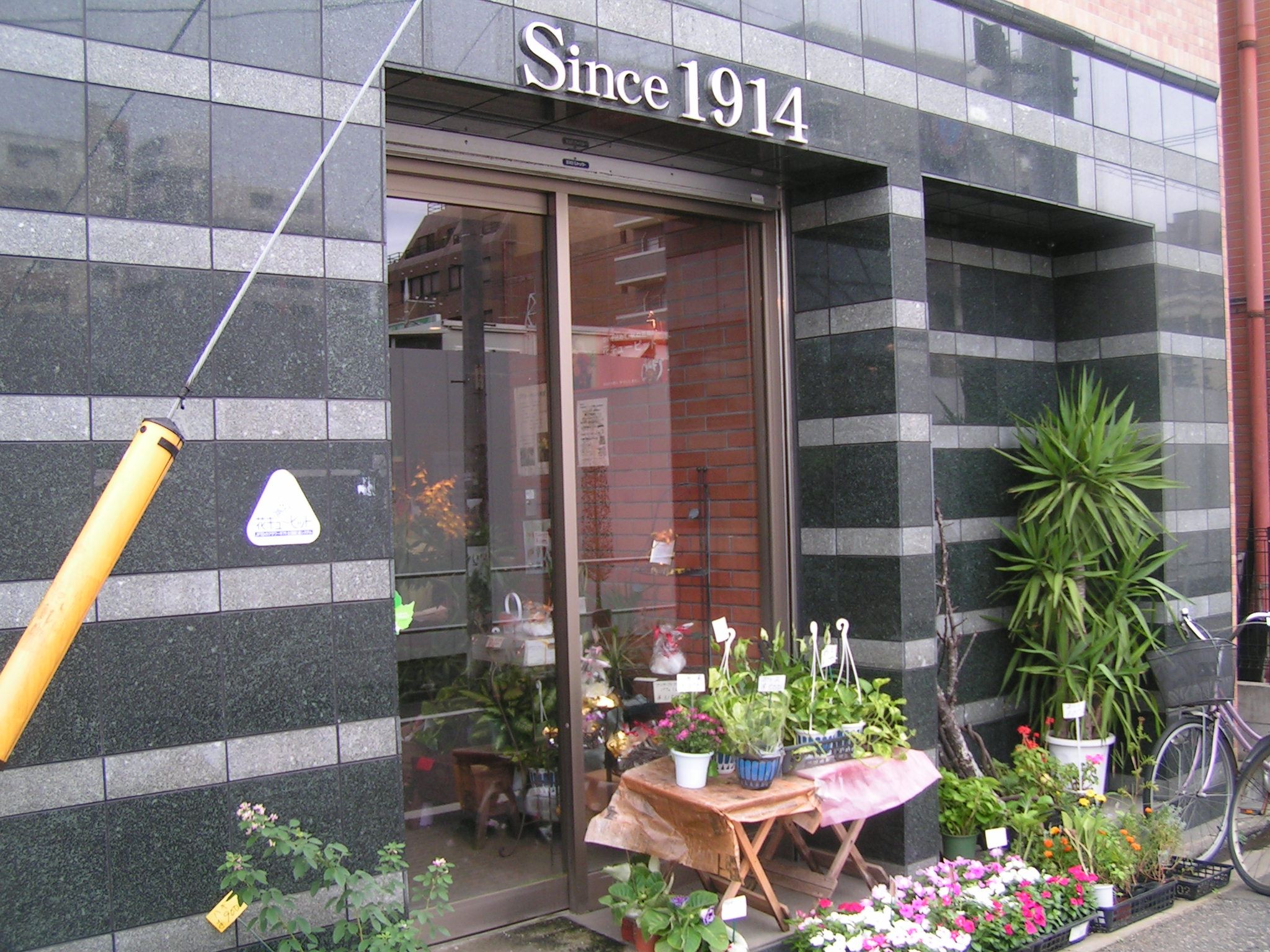 お花屋 須藤花店 葛飾区 新小岩下町物語