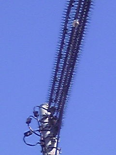 110222_150058