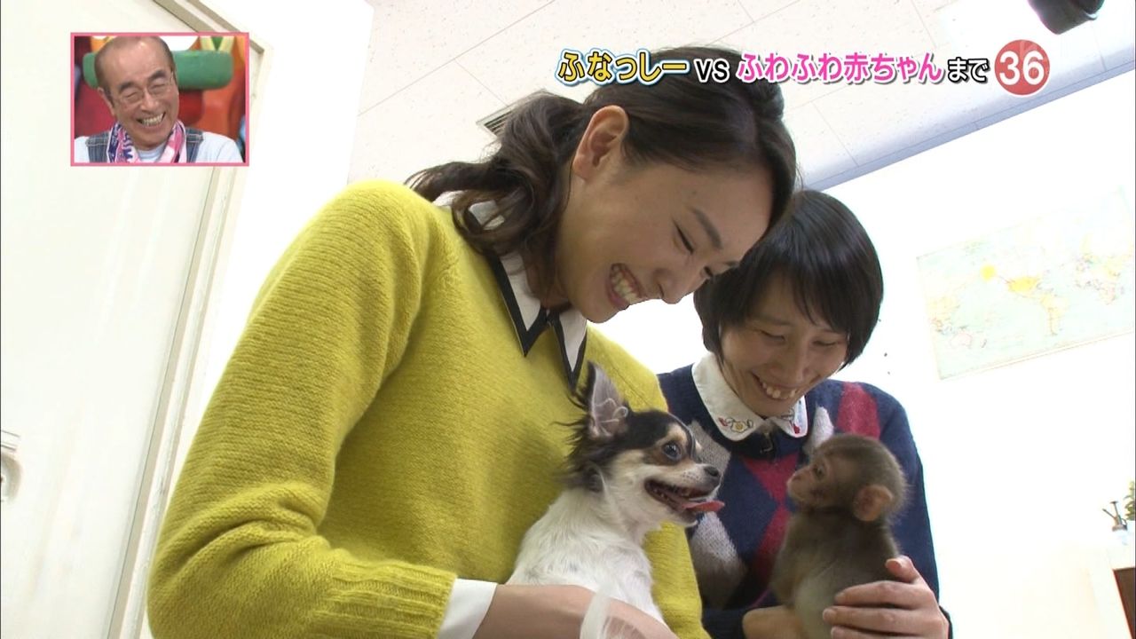 新垣結衣ちゃん専用 天才 志村動物園 画像と動画のピンピン速報