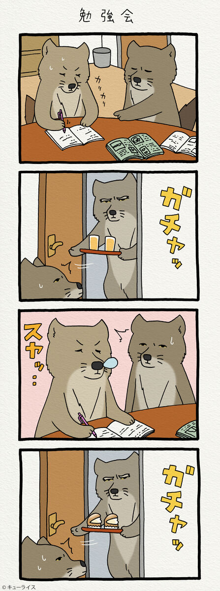 過去編 チベットスナギツネの砂岡さん 勉強会 キューライス記 Powered By ライブドアブログ 過去編 チベットスナギツネの砂岡さん 勉強会 キューライス記 Powered By ライブドアブログ