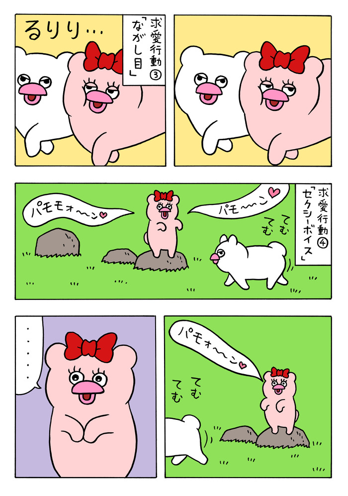 恋に落ちたハッチンパモス（メス）4 のコピー
