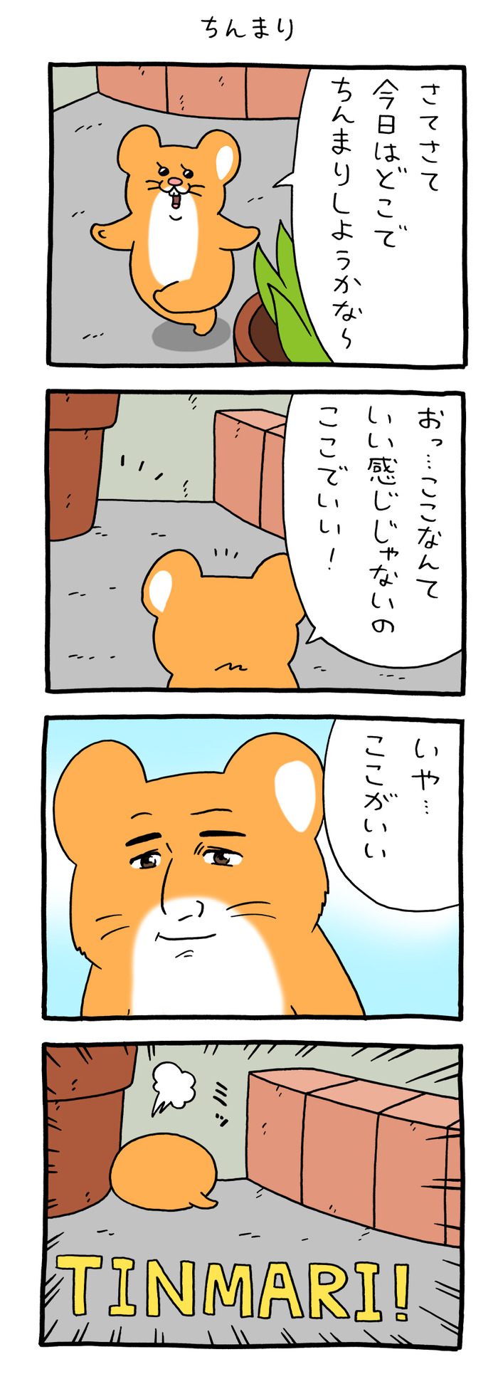 スキネズミ「ちんまり」