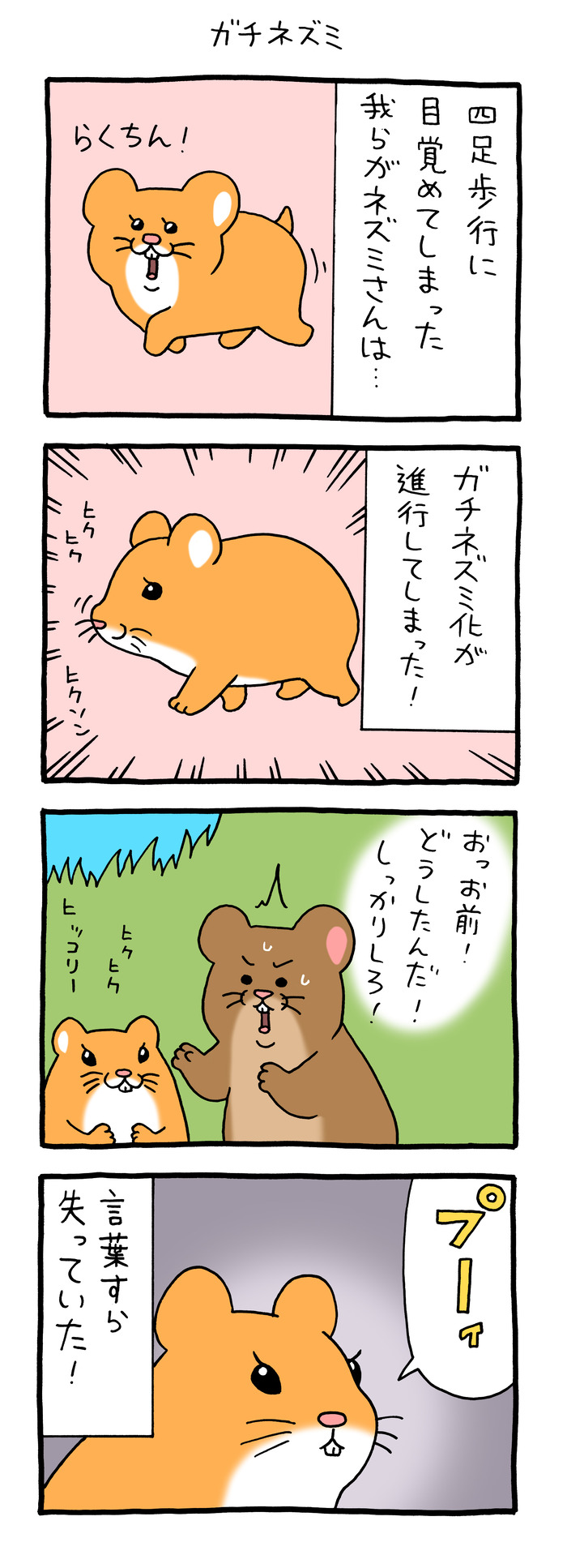 スキネズミ「ガチネズミ」