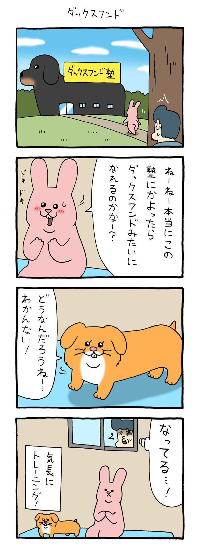 スキウサギ　ダックスフンド のコピー