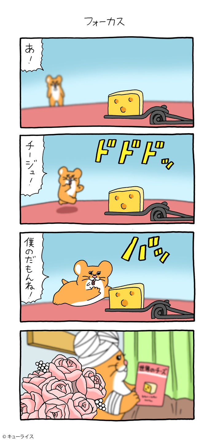 スキネズミ フォーカス のコピー