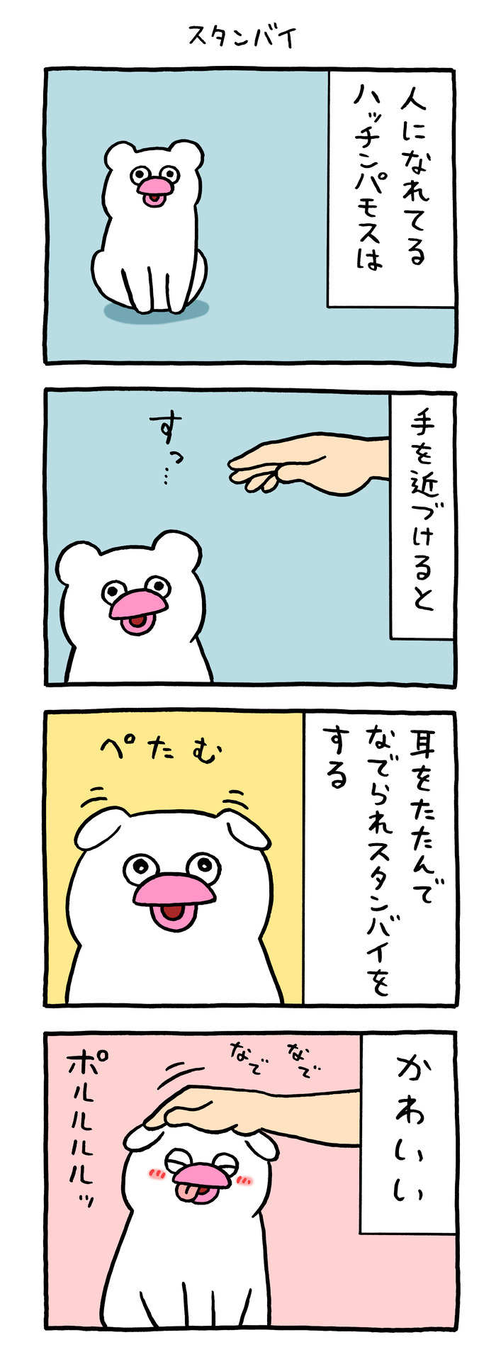 絶滅寸前の動物ハッチンパモス「スタンバイ」
