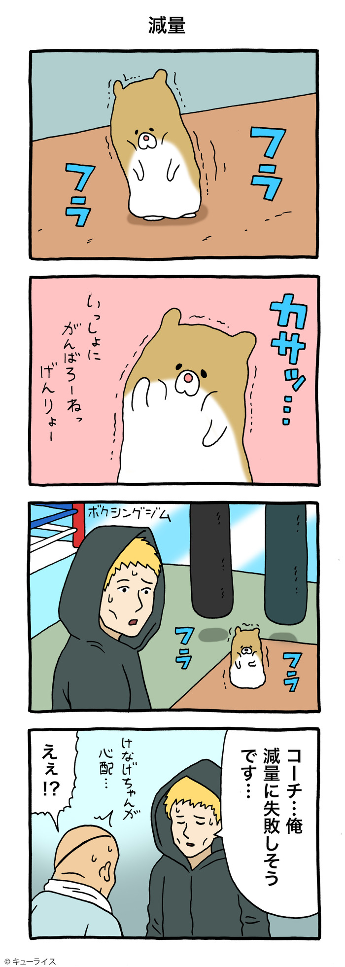けなげちゃん 減量 のコピー