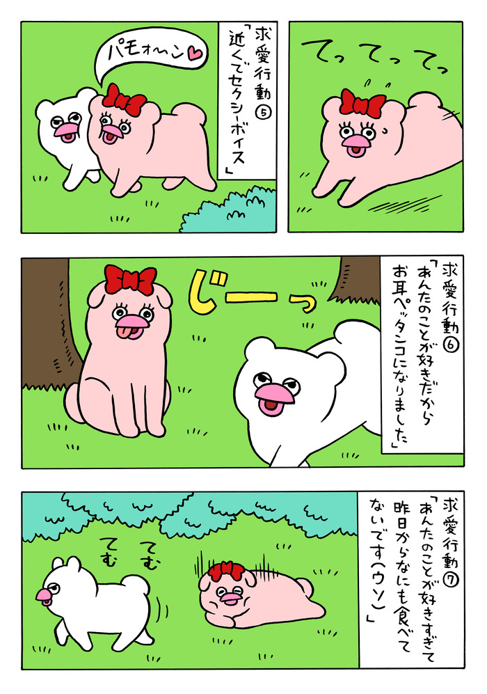 恋に落ちたハッチンパモス（メス）5 のコピー