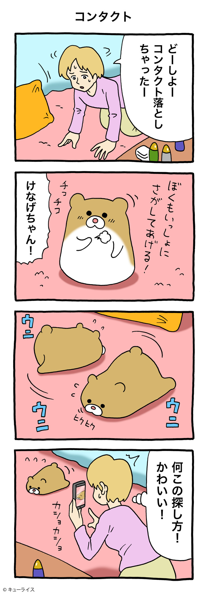 けなげちゃん コンタクト のコピー