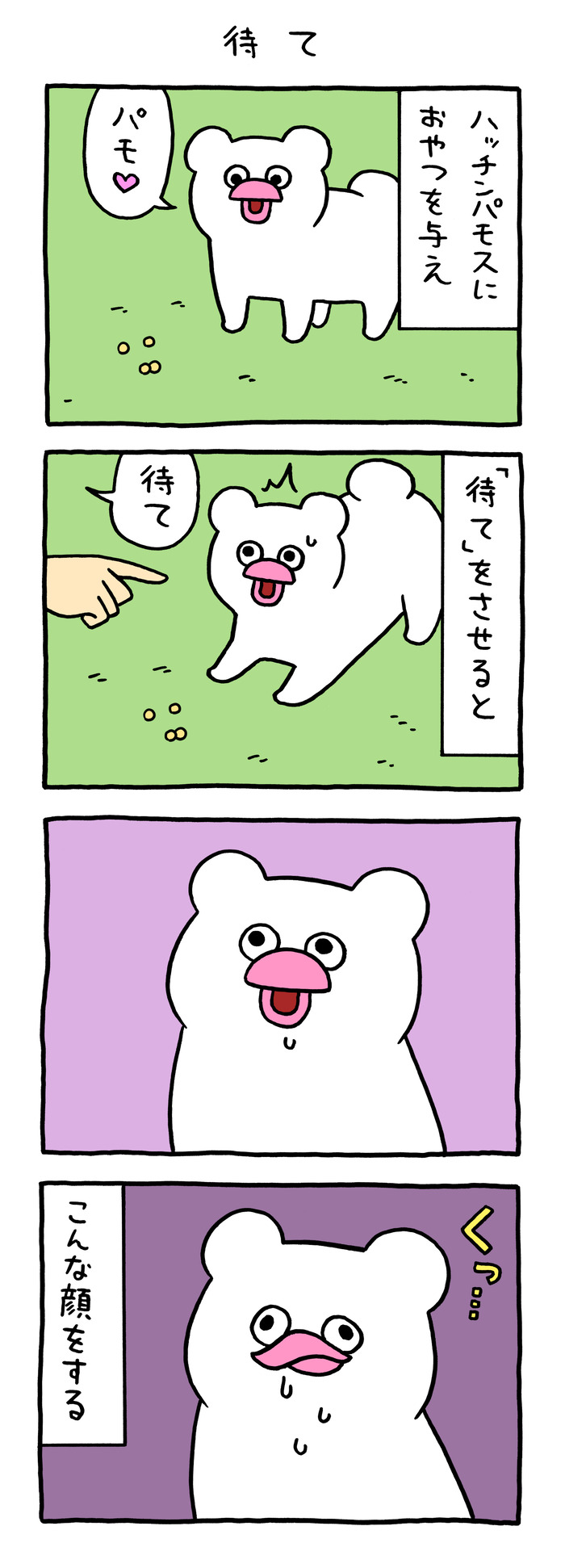 絶滅寸前の動物ハッチンパモス「待て」