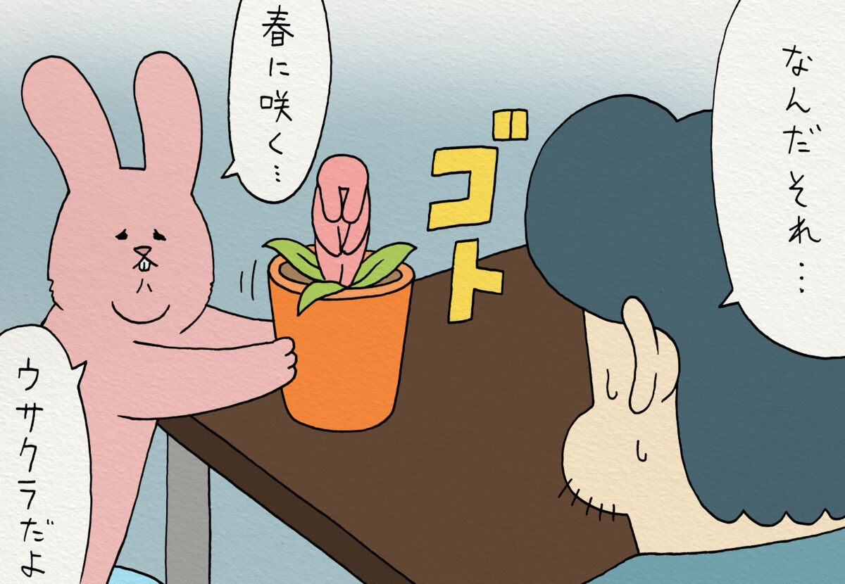 f:id:q-rais:20180327110406j:plain f:id:q-rais:20180327110406j:plain