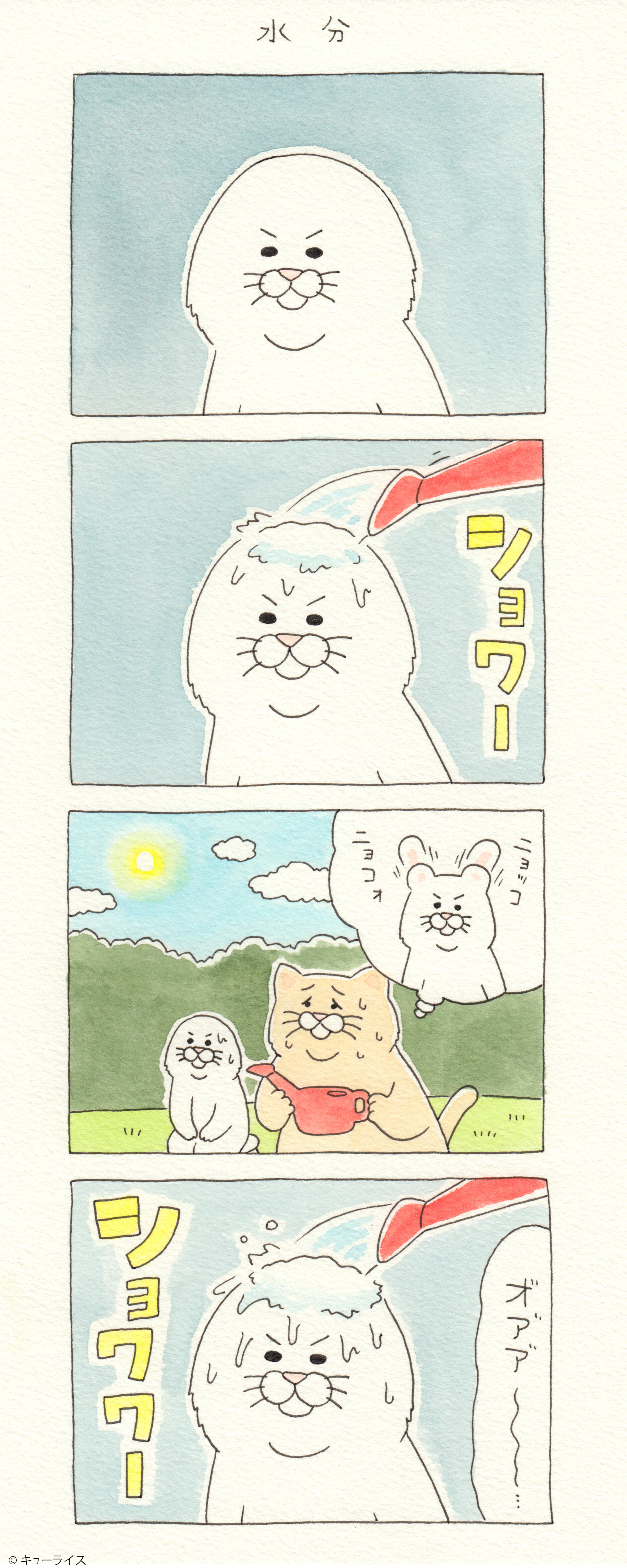 ネコノヒー 水分 キューライス記 Powered By ライブドアブログ