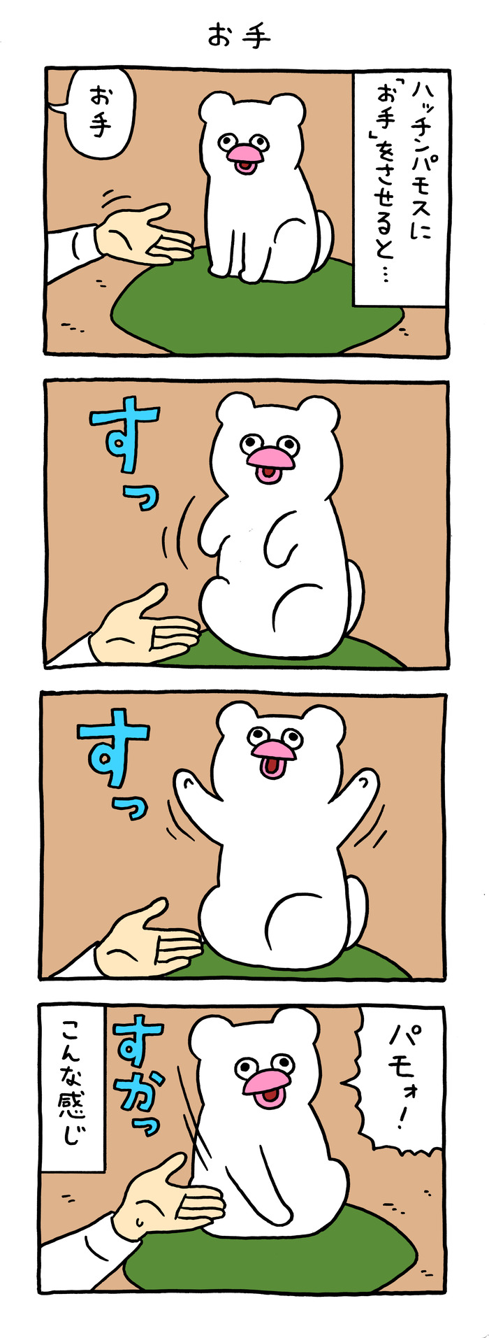 絶滅寸前の動物ハッチンパモス「お手」