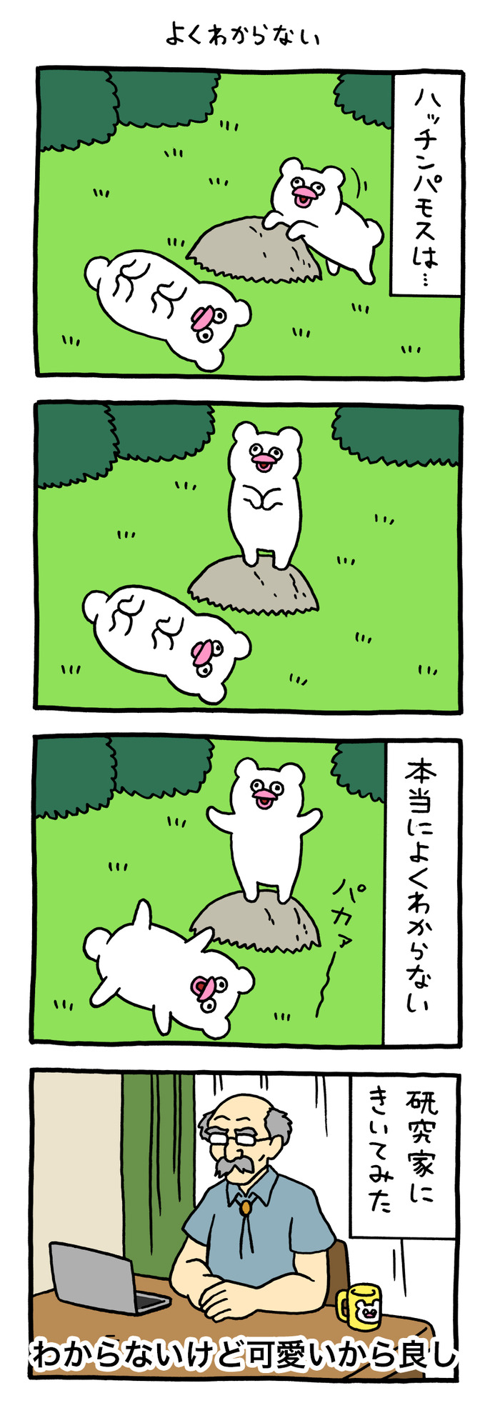 絶滅寸前の動物ハッチンパモス 「よくわからない」