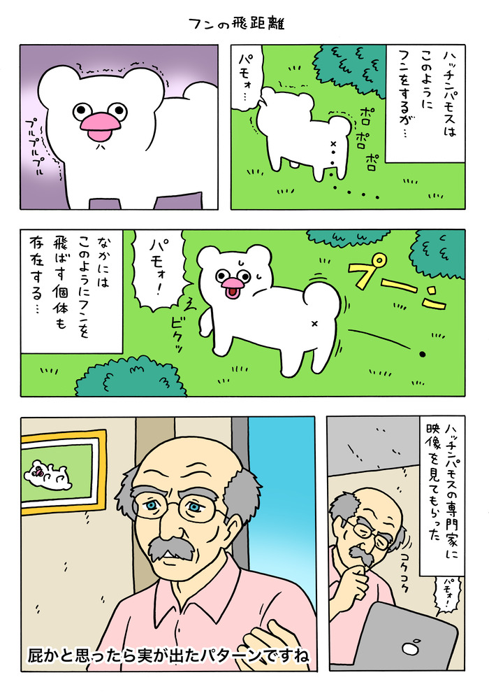 絶滅寸前の動物ハッチンパモス「フンの飛距離」