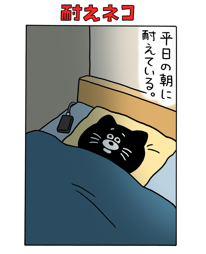 耐えネコ「平日の朝に耐えている」