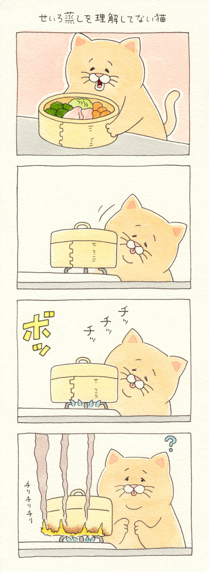 ネコノヒー「せいろ蒸しを理解してない猫」
