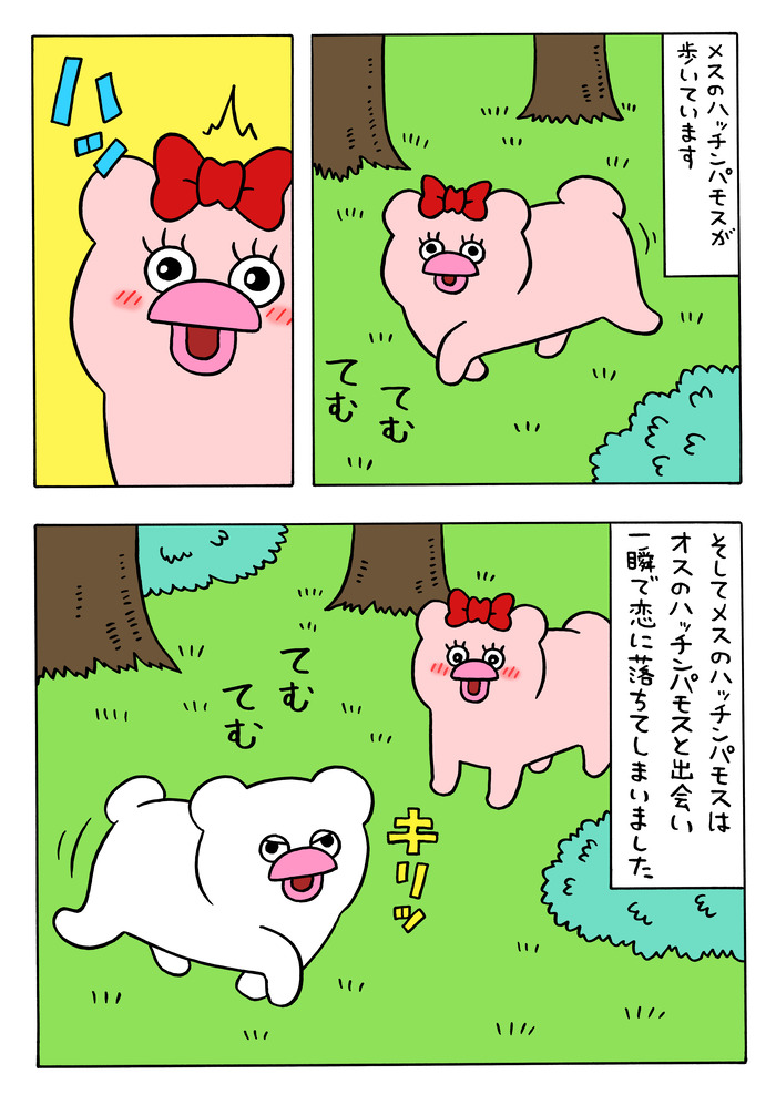恋に落ちたハッチンパモス（メス）2 のコピー