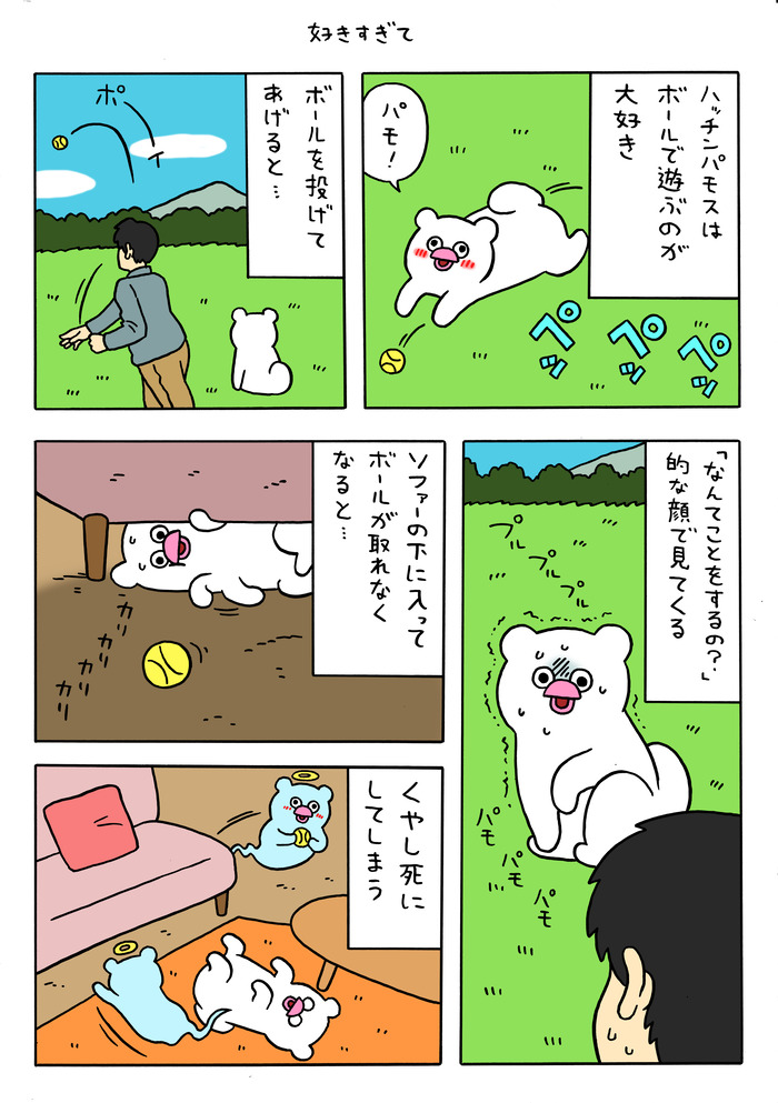 絶滅寸前の動物ハッチンパモス「好きすぎて」 : キューライス記