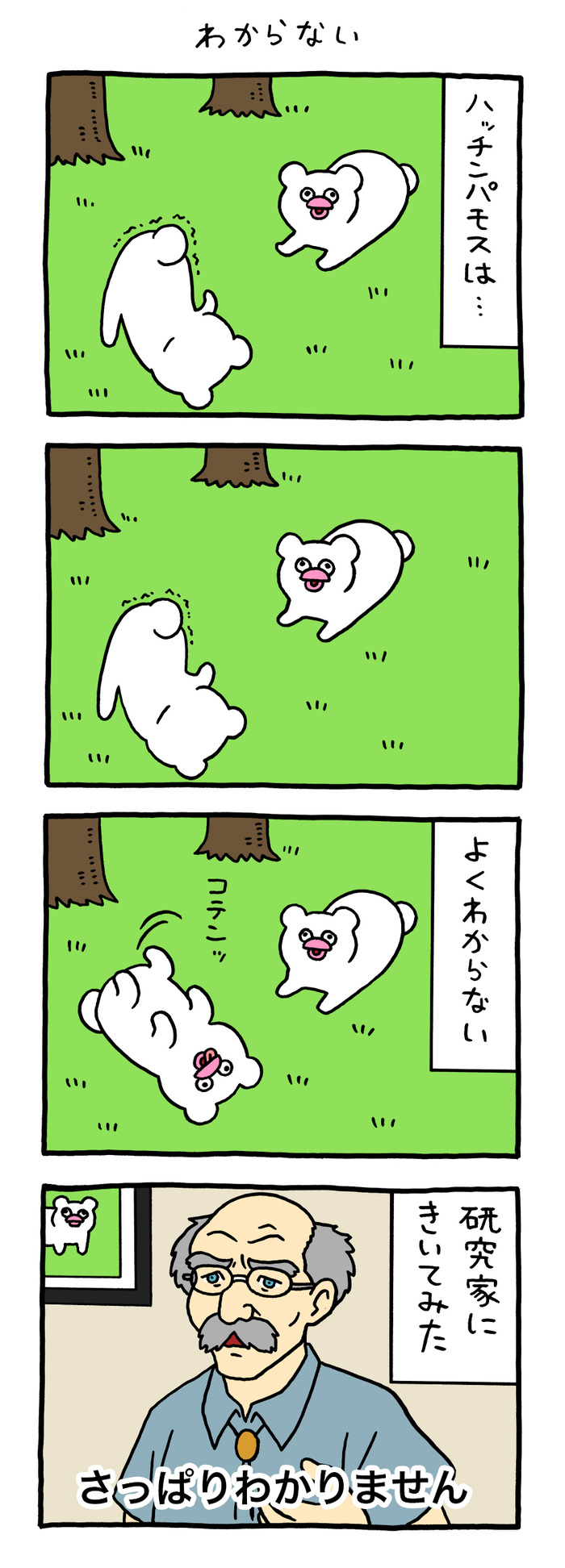 絶滅寸前の動物ハッチンパモス「わからない」