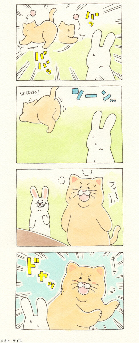 f:id:q-rais:20200523120012j:plain f:id:q-rais:20200523120012j:plain