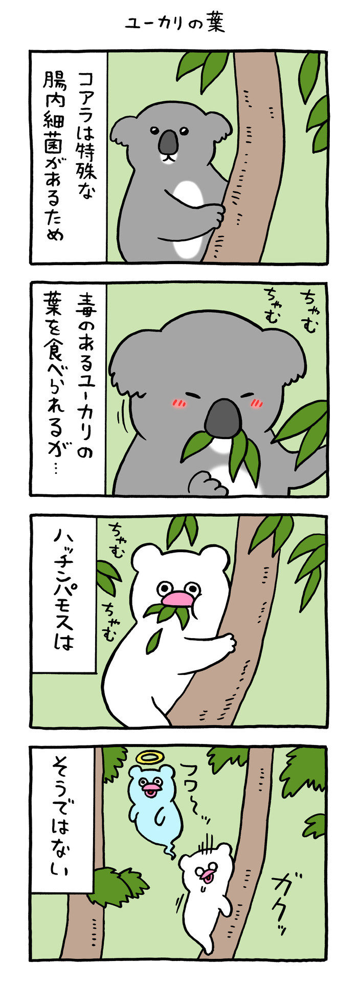 絶滅寸前の動物ハッチンパモス「ユーカリの葉」