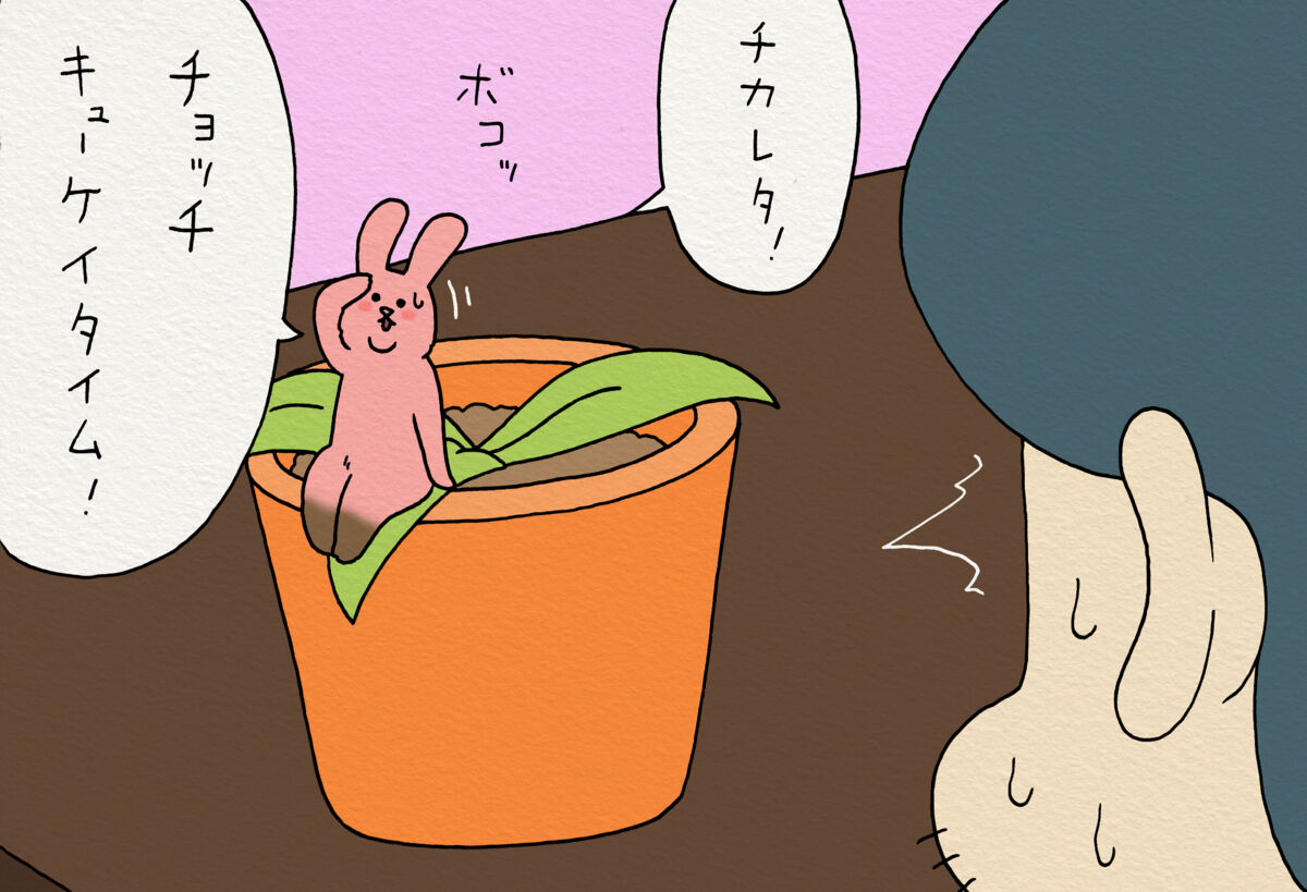 f:id:q-rais:20180330114628j:plain f:id:q-rais:20180330114628j:plain