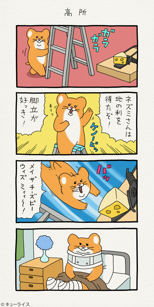 スキネズミ 高所 キューライス記 Powered By ライブドアブログ