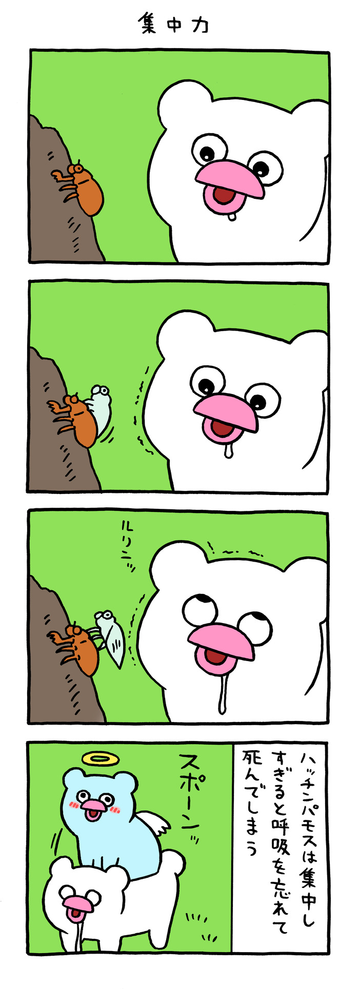 絶滅寸前の動物ハッチンパモス「集中力」