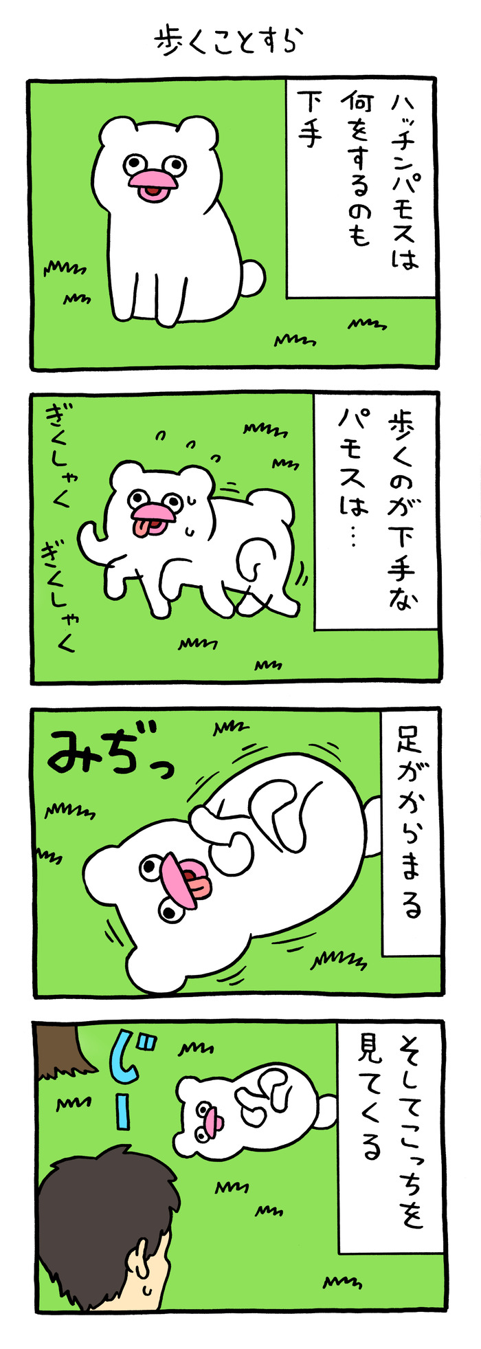 絶滅寸前の動物ハッチンパモス「歩くことすら」